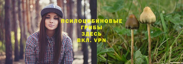 первитин Осташков