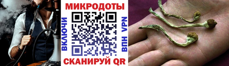 Псилоцибиновые грибы Psilocybe  shop наркотические препараты  Десногорск  купить закладку 